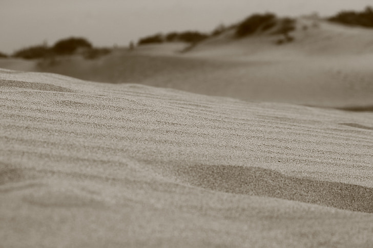 Sand, Wüste, Düne, im freien, Afrika, Landschaft, Reisen