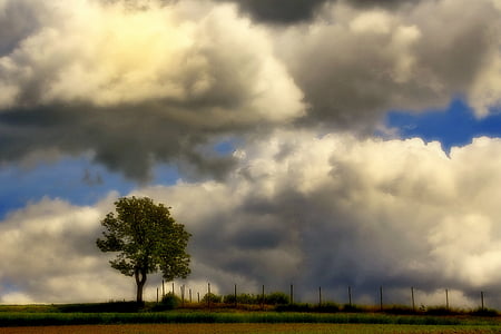 clouds, nature, landscape, sky, mood, tree, lonely