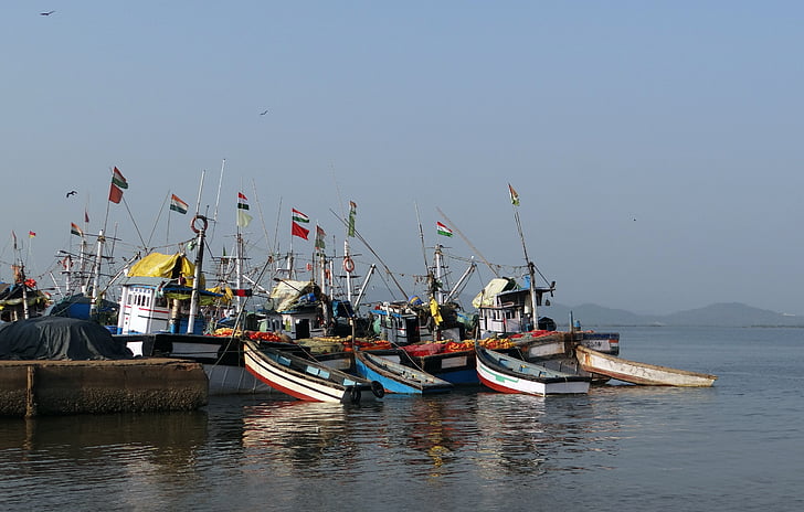 hamnen, fiske, båtar, floden, aghanashini, tadri, Karnataka
