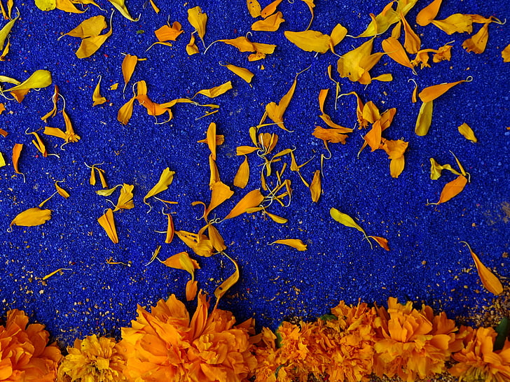 ημέρα των νεκρών, χρώμα, μπλε, πορτοκαλί, Δημοφιλή Φεστιβάλ, παράδοση, προσφέροντας