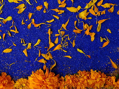dag af døde, farve, blå, orange, populære festivaler, tradition, tilbyder