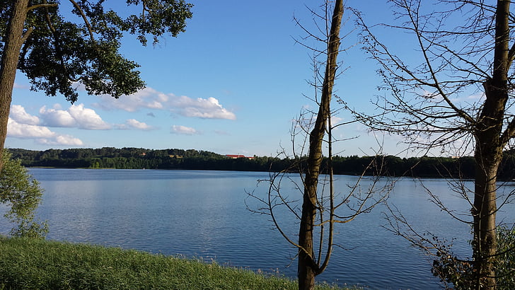 Masúria, ostreußen, Polônia, natureza, Lago, árvore, Verão