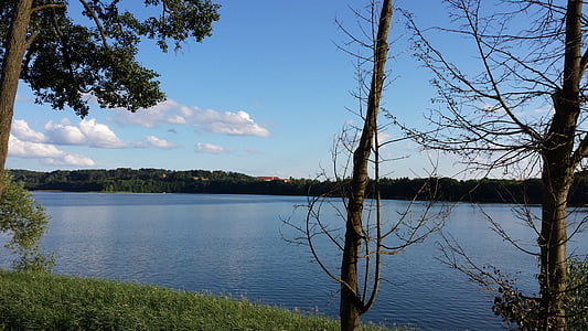 Мазурія, ostreußen, Польща, Природа, озеро, дерево, літо
