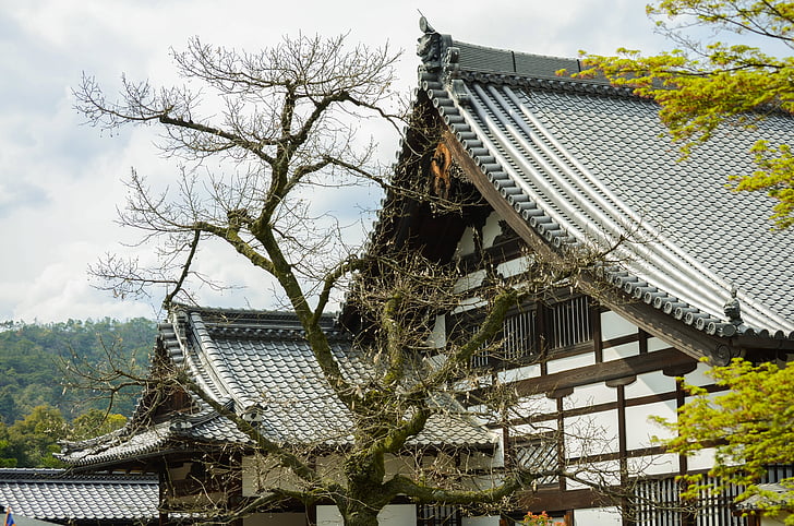 belleza, otoño, Kioto, Japón, el templo de, techo, Asia