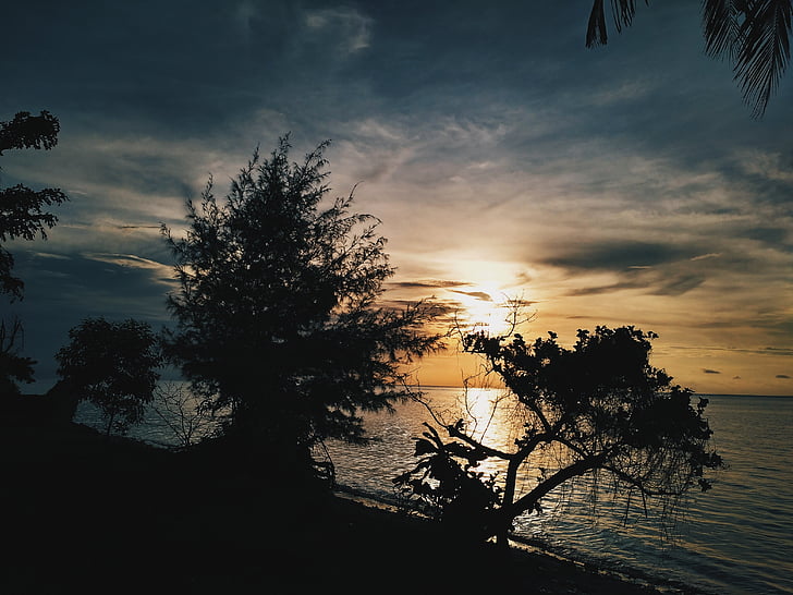 sun, sink, the tree, the sky, blue, indonesian, view