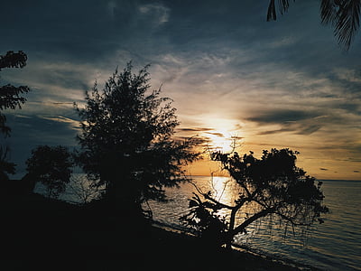 Słońce, umywalka, drzewa, niebo, niebieski, Indonezyjski, Widok