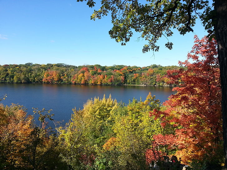 falla lövverk, hösten, Mississippifloden, Mississippi, färgglada, lämnar, Minnesota