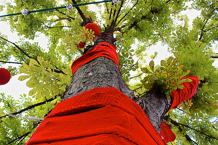 árvore, bordado, arte de rua, da malha, coroa, lã, vermelho