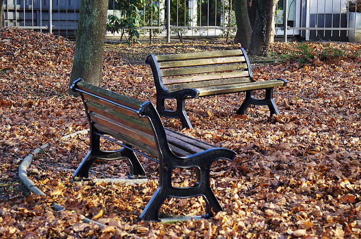 bench, park, autumn