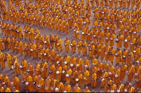 monjos, budistes, multitud, persones, wat, Àsia, tailandès