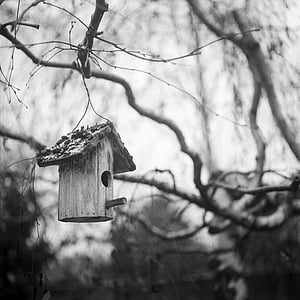 maison d’oiseau, noir et blanc, monochrome, calme