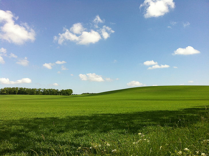 nature, sky, grass, clouds, meadow, summer, rural Scene