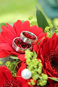 cincin kawin, bunga, pernikahan, cincin emas, Cantik, cincin kawin, Cinta