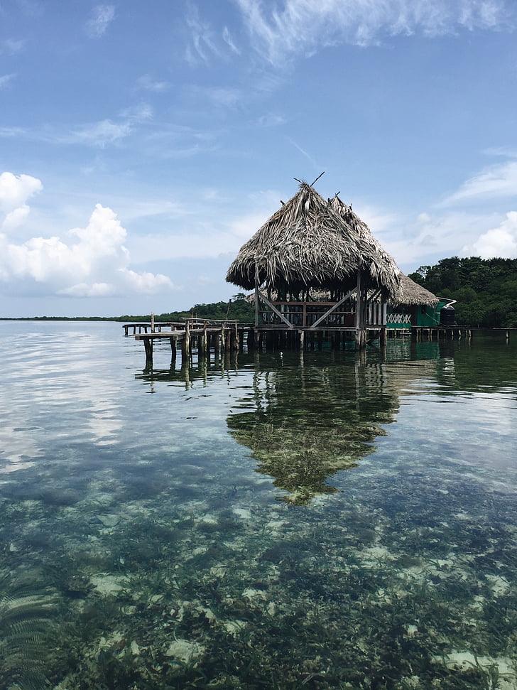 hut, vacation, water, clear, corals, nature, reflection