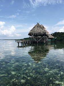 Cabana, vacances, l'aigua, clar, coralls, natura, reflexió