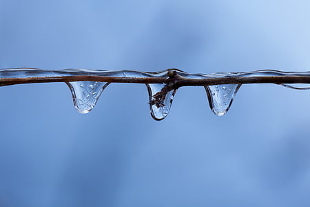 branch, cold, crystal, detail, drop, drops, frost
