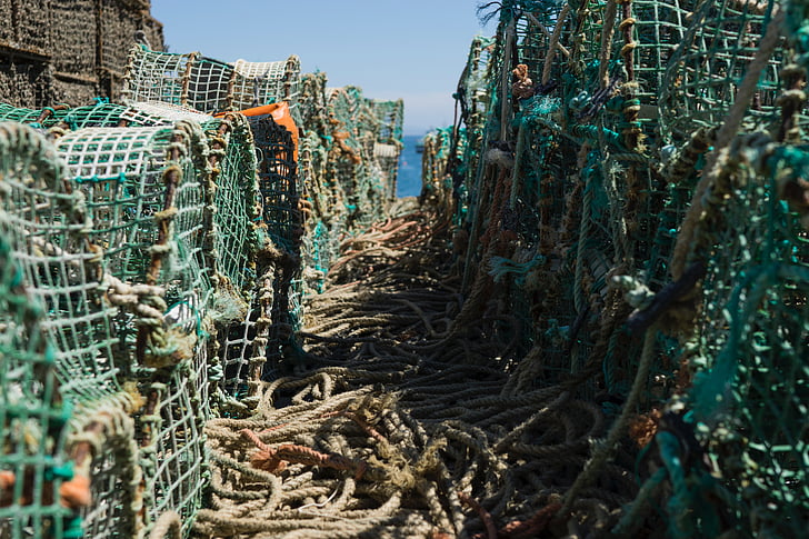 pesca, net, cuerda, mar, soleado, día, industria pesquera