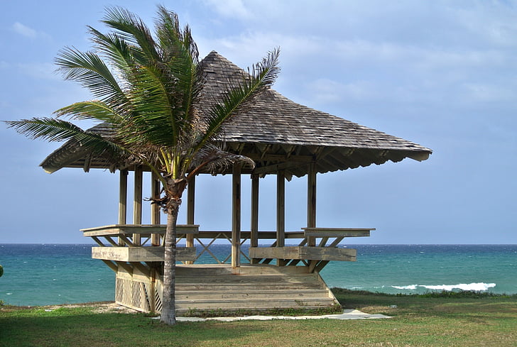 Jamaïque, cabane de plage, Caraïbes, Palm, mer, palmier, climat tropical