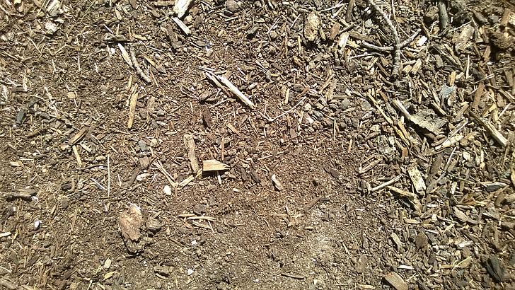 mulch, mặt đất, nền tảng