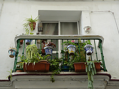 balkonem, dekoracji zewnętrznej, wiszący kosz, Dekoracja, wakacje, Zakwaterowanie, Południowa