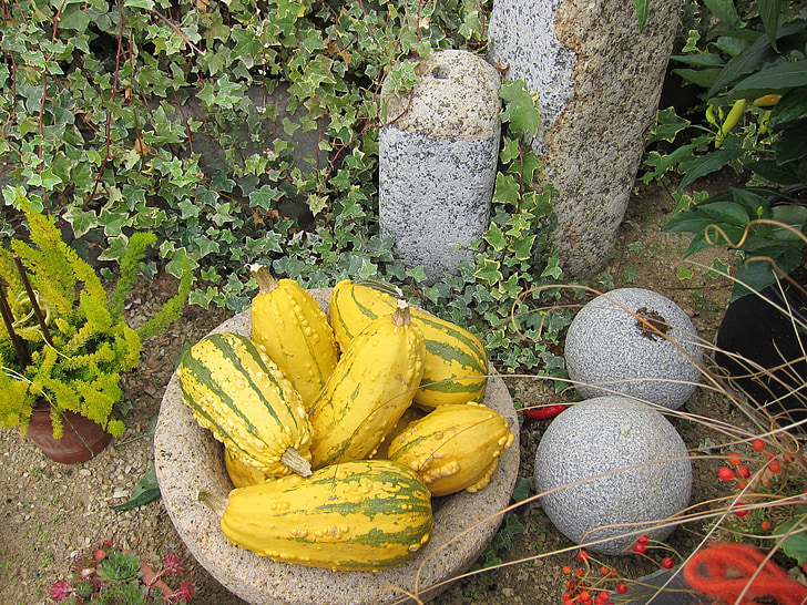 pumpkin, halloween, october, fall