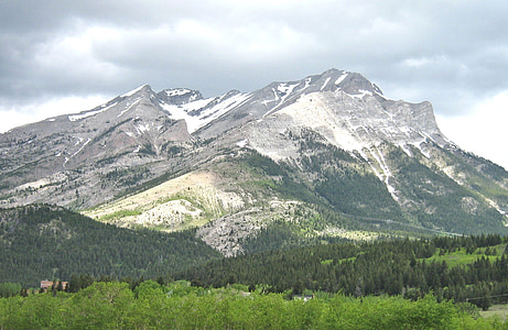 Alberta, Kanada, skalnaté vrchy, lúka, Príroda