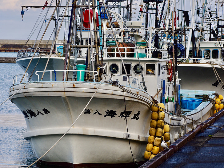 balıkçı teknesi, balıkçı limanı, Hokkaido