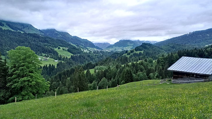 Allgäu, bergen, Tyskland, landskap, naturen, Mountain, sommar
