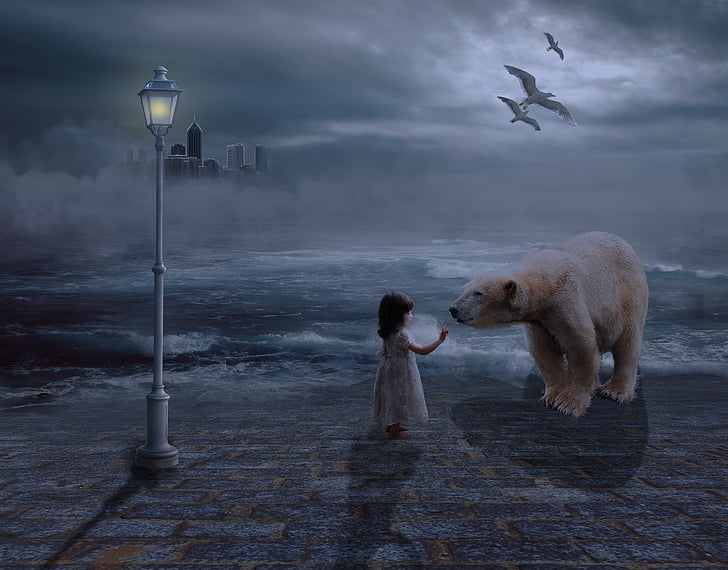 Kız, ayı, günbatımı, sisli, bir hayvan, bir kişi, açık havada
