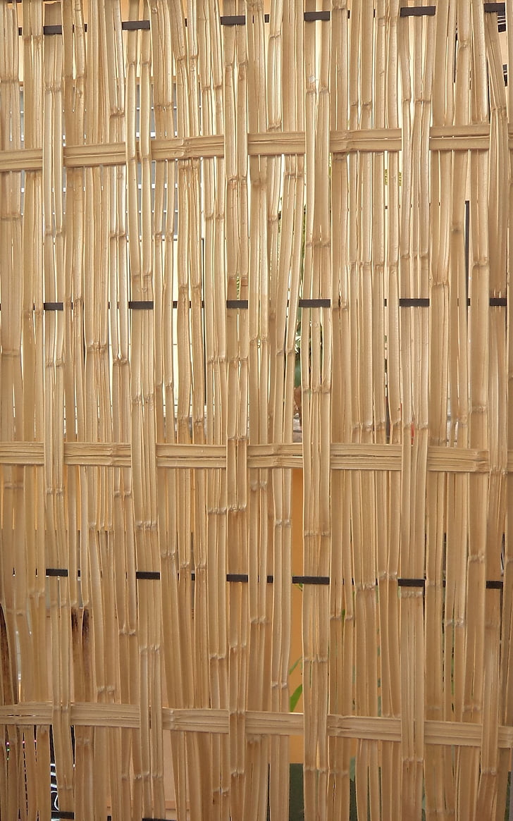 bambu, de madeira, paredes, cercas, artesanato, elaboração de, juncos