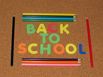 back to school, learning, school, colorful, pencil, back to school background, knowledge
