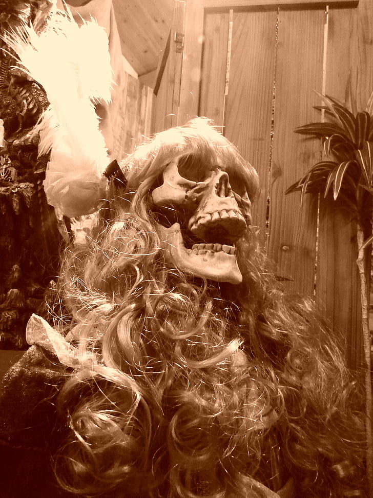 esqueleto, cráneo, mujeres, occidental, historia, triste, piratas