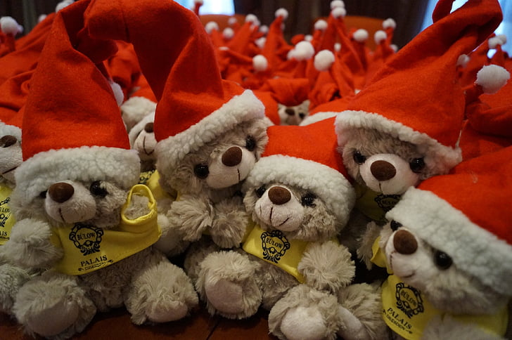 Santa hat, karud, jõulukingiks, jõulude tähistamine, Teddy, jõulud Ehted, teenetemärgi