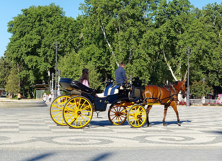 paard en wagen, vervoer, traditionele, vervoer, Retro, Coach, attractie