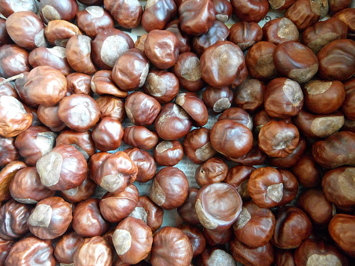 chestnut, background, quantitative, thong, dry, dried