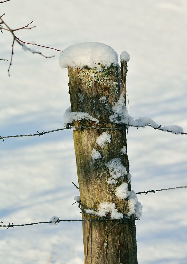 winter, fence post, snowy, pile, snow, pasture, barbed wire