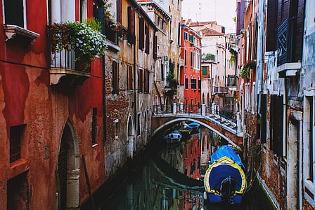 Ποταμός, δίπλα, σπίτια, της ημέρας, Βενετία, ζωή στην πόλη, γέφυρα