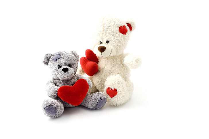 Teddy, gấu, gấu, động vật, động vật, đồ chơi, fluffy