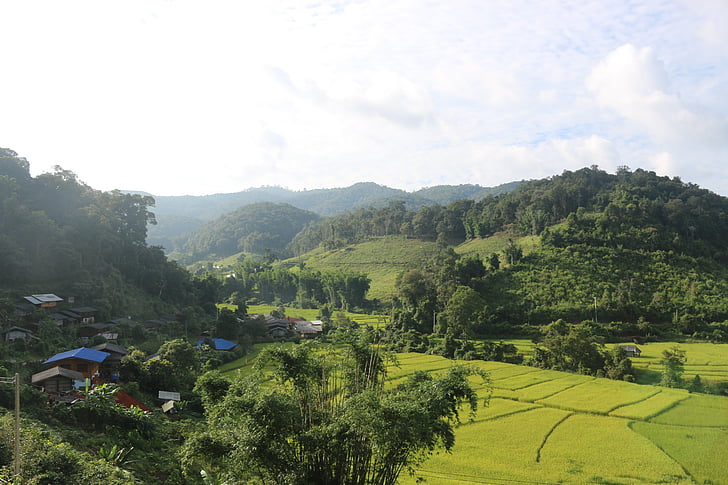 Tailandia, paisaje, empanadas de arroz, Asia, por la tarde, brunch, viaje