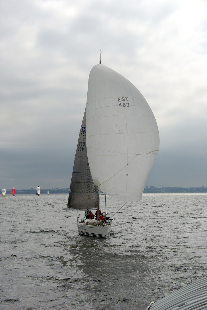 sailing, boat, sport, regatta, sailboat, yachting