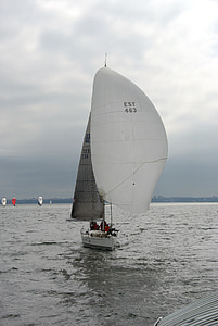 segling, båt, idrott, Regatta, segelbåt, Yachting