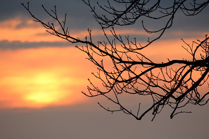 posta de sol, branca, Afterglow, cel, estètica, arbre, abendstimmung