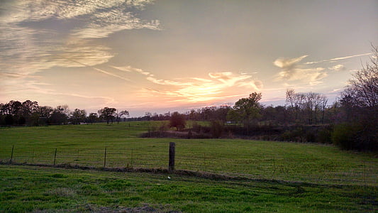 paisaje, puesta de sol, cerca de, campo, árboles, nubes, hierba