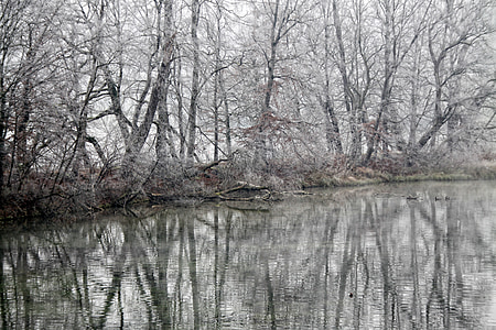 Зеркальное отображение, отражение воды, Зима, снег Фрост, отражение, пейзаж, Река