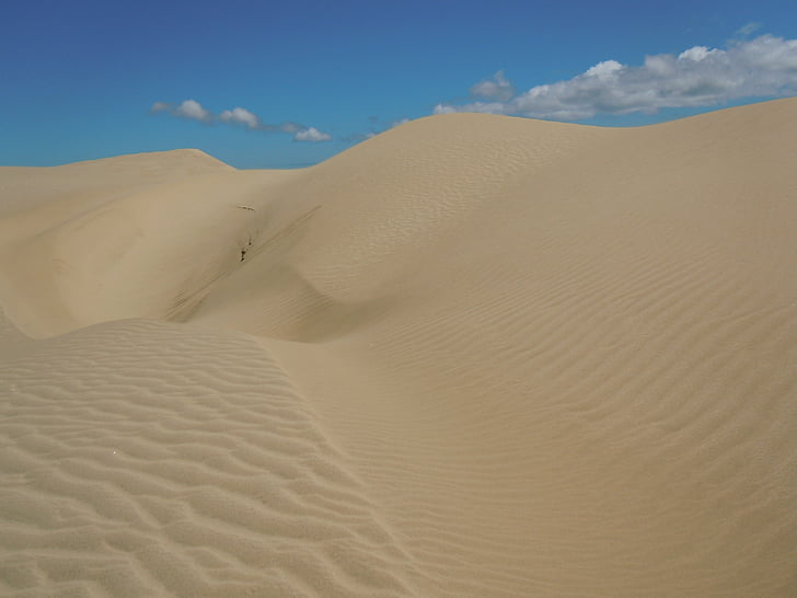 pasir, pasir, gurun, alam, Dune, musim panas, Kolam