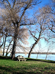 fák, folyó, Rhône