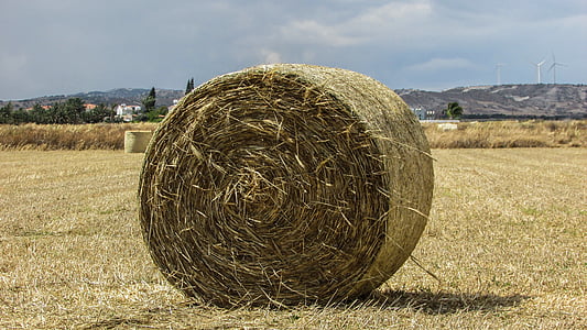 hay ball, hay, forage, dry grass, agriculture, rural, countryside