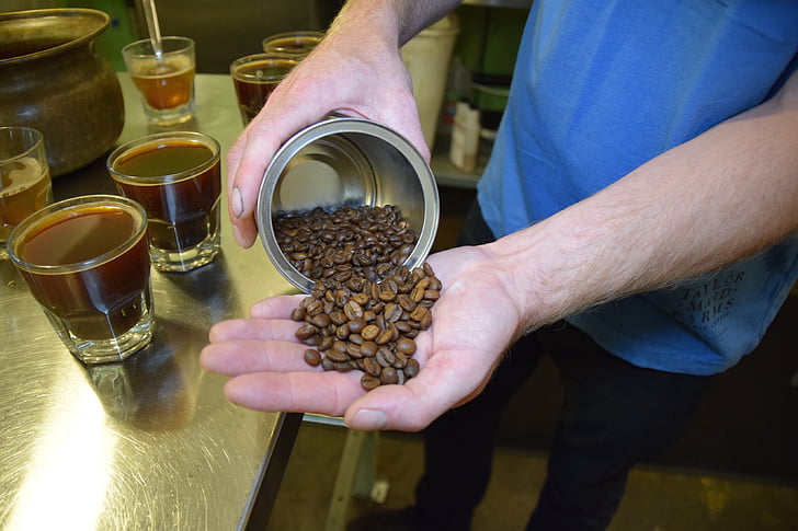 beans, coffee, brew, cupping, human Hand, men