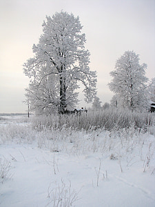Landschaft, Winter, Schnee, Eis, Himmel, Wolken, Haus