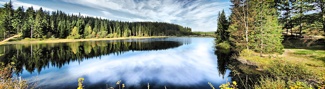 Thiên nhiên, Lake, Moor, Áo, Panorama, rừng, cây